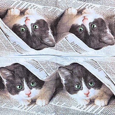 Guardanapo para Decoupage 33x33 Gatinho Fofinho
