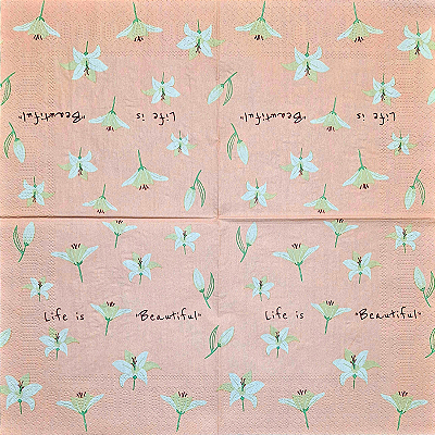 Guardanapo para Decoupage 33x33 Floral Life is Beautiful