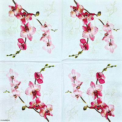 Guardanapo para Decoupage 33x33 Orquídea Phalaenopsis Rosa