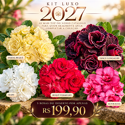 KIT LUXO 2027