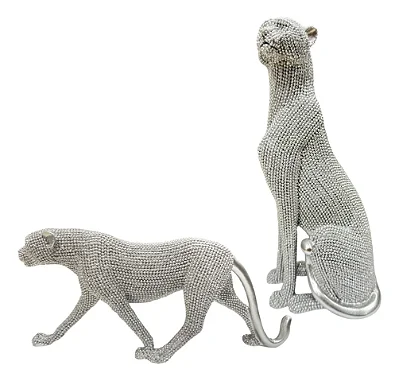 Dupla de Leopardo Brilhantes