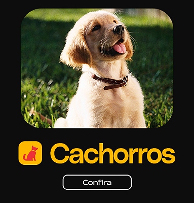 Cachorros | Confira!