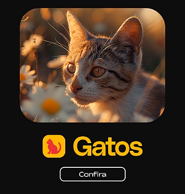 Gatos | Confira!