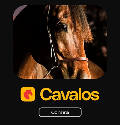 Cavalos | Confira!