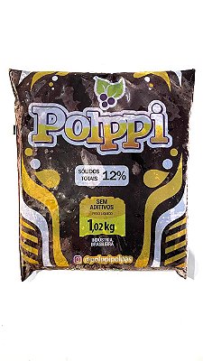 Polpa de frutas - Polppi Açaí 1kg