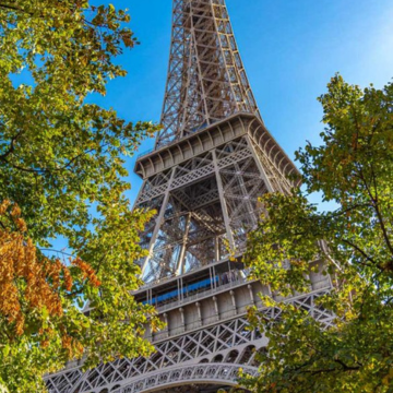 Coleção JOSÉPHINE