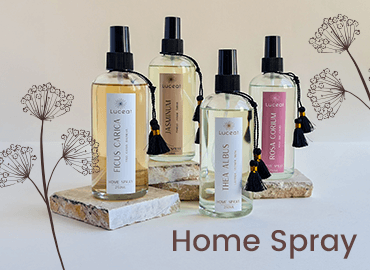 Home Spray