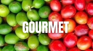 Cafés Gourmet