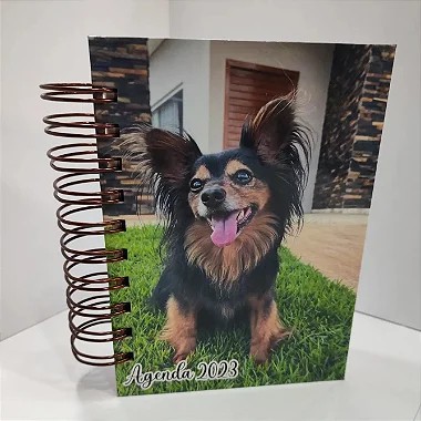 Agenda 2023 Coleção Living - ( Pequena)