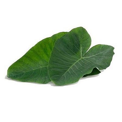 Taioba orgânica - Maço