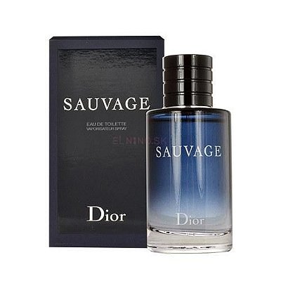 Sauvage Perfume Masculino Dior