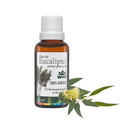 Óleo Vegetal Essencial Natural Pronto P/ Pele Wnf 30ml Eucalipto