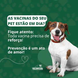 As vacinas do seu pet estão em dia ?