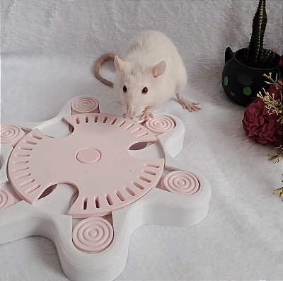 Brinquedo Interativo para Roedores (Rato Twister, Chinchilas) - Cor Branco\Rosa