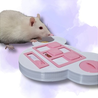 Brinquedo Interativo para Rato Twister e Chinchila
