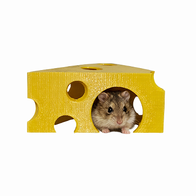 Toca formato de queijo para Hamster chinês, camundongo e topolino