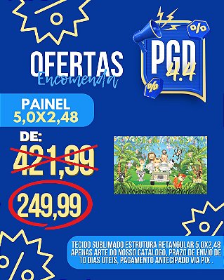 PROMOÇÃO 04.04 PAINEL RETANGULAR 500X248CM MICRO LIGHT
