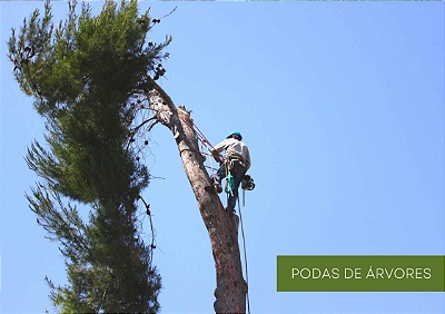 Poda arvor
