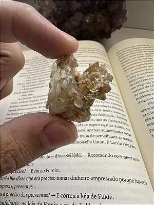 Mica estrela - PEÇA ÚNICA - Crescimento Profissional