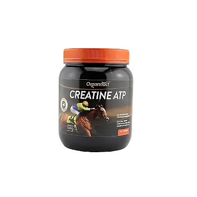Creatine ATP 1 kg - Organnact