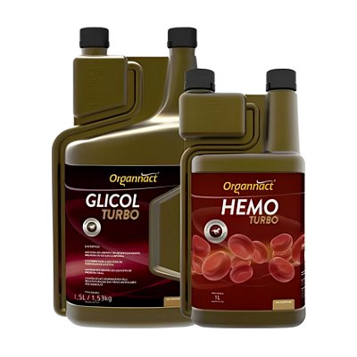 Glicol Turbo 1,5 Lt + Hemo Turbo 1 Lt - Organnact