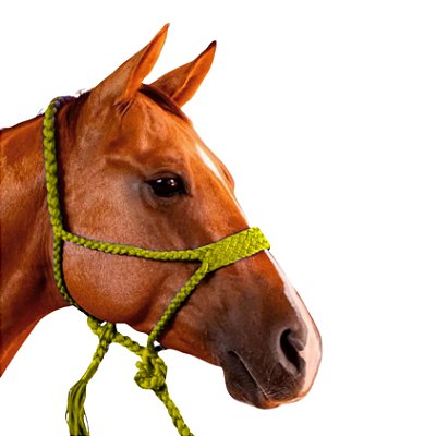 Cabresto Com Cabo Trançado de Paracord Amarelo - Boots Horse