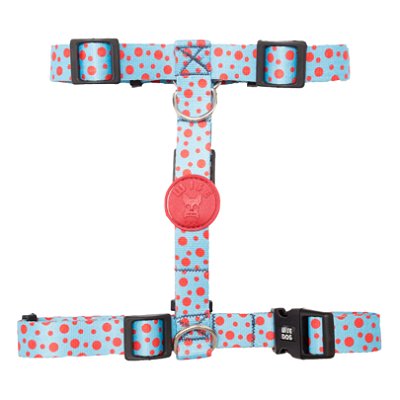 Coleira Peitoral H Com Guia Tamanho G Azul Com Bolinhas - Wise Dog