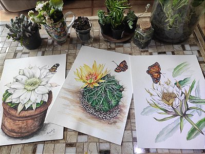 COLEÇÃO FLOR DE CACTUS E BORBOLETA (3 prints)