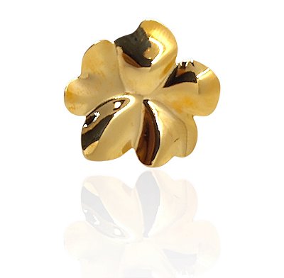 Brinco flor orgânica banhado ouro