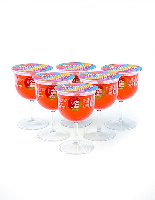 Kit 6 Taças de Gin de Melancia VINTIMTIM | Drink Pronto