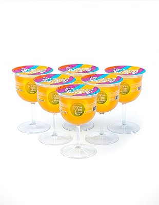 Kit 6 Taças de Gin Tropical | VINTIMTIM Drink Pronto