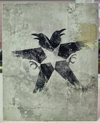 Infamous Second Son (Inglês) - PS4 (Mídia Física) - USADO