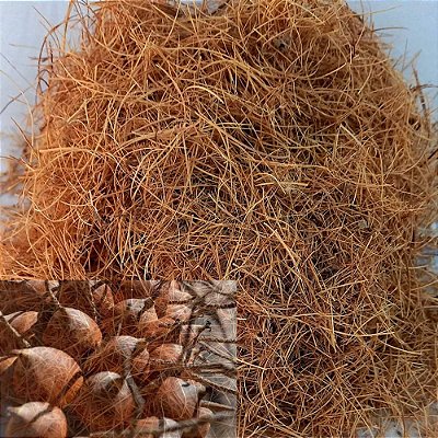 Substrato Fibra de Babaçu - 500g