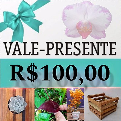 Vale Presente R$ 100,00