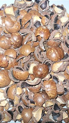 Casca de Macadâmia 2kg