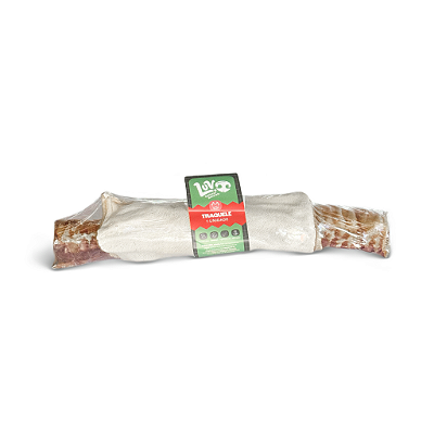 Traquele (Traqueia Bovina + Pele bovina) - LUV