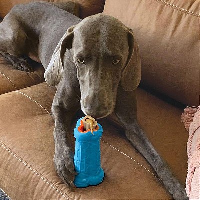 KONG TREATSTER SMALL