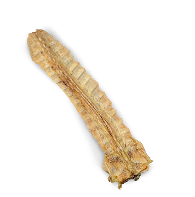 Mordedor Desidratado Carcaça de Jacaré - LUV