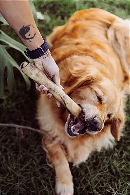Natuka Canoli (Pele Bovina Desidratada SEM PELOS)