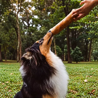 BasTÃO Recheado - Mordedor Natural Couro e Esôfago Bovino | PET BEM