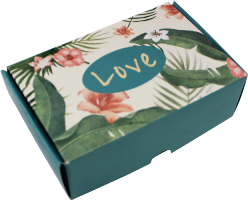 10 Caixas (6 doces) Tropical 1683 ( IDEIA )