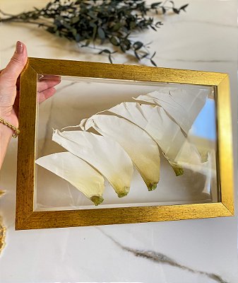 QUADRO AURORA PETITE