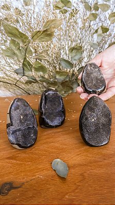 Geodo de Septariana