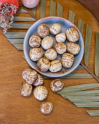 Aragonita Peruana - Rolada