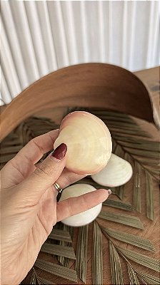 Tigerina Shell