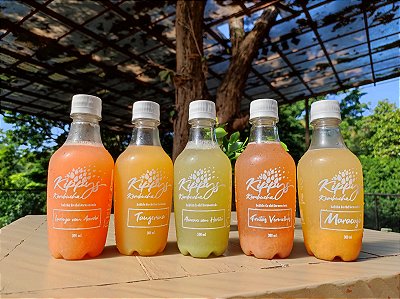 Kombucha - Chá fermentado probiótico - bebida gaseificada naturalmente - kit 30 unidades de 300ml cada | Kippys Natural