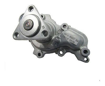 Bomba Água Ford Ka 2018 À 2021 Motor 1.5 Dragon Flex Origina GN1G8501CB
