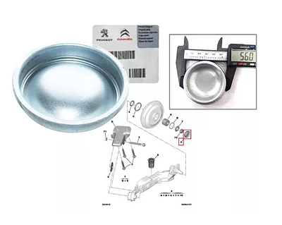 Kit 2 calota tampa tambor traseiro Peugeot 206 207 C3 original 374019