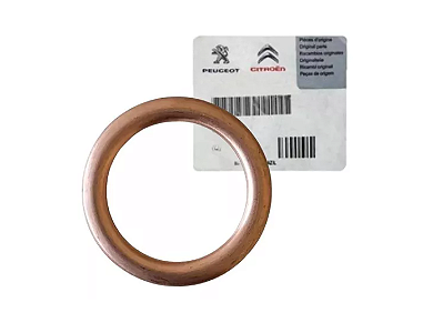 Arruela Anel Vedação  Bujão Cambio e Cárter Peugeot Citroen 031338