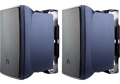 Caixa Passiva Para Ambiente Preta (Par) 100W C621P - JBL